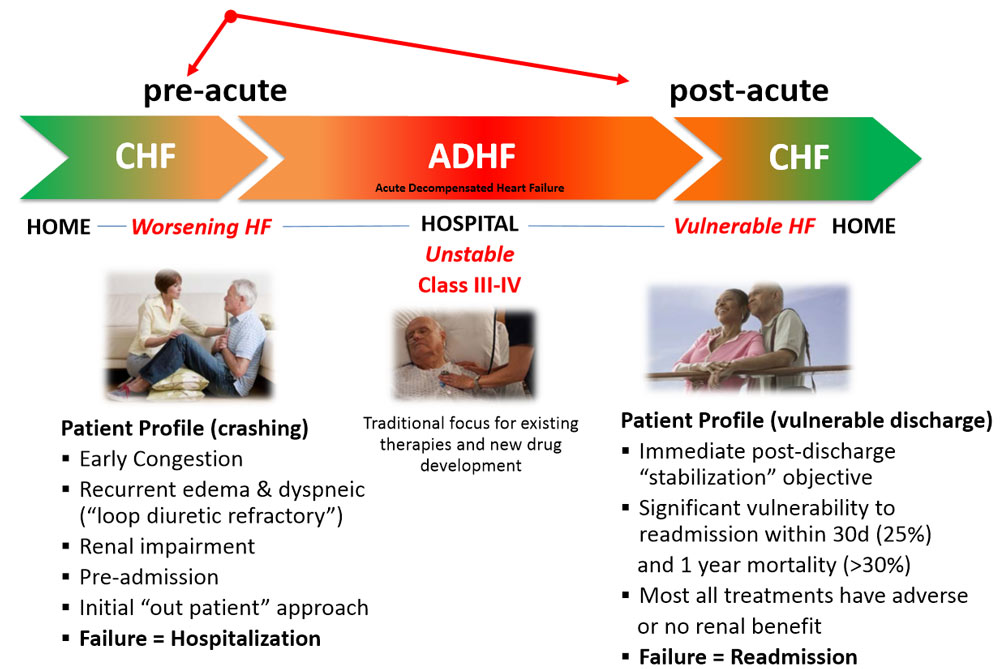 A diagram detailing the change of focus while treating heart failure - a move away from tackling existing conditions and focussing on preventative and regenerative treatment